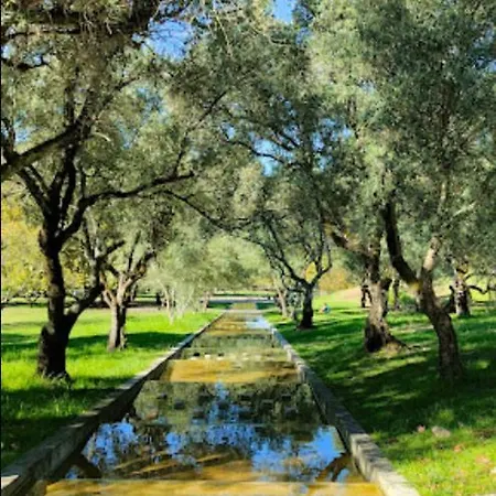 5min Walk To Subway & 10min Drive To Airport Lisbon